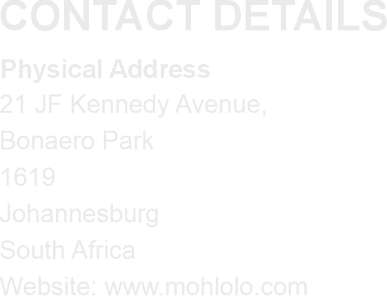 CONTACT DETAILS  Physical Address:   Palazzo Towers West,  Monte Casino,  William Nicole Drive,  Fourways, 2055 South Africa &nbsp;Website: www.mohlolo.com